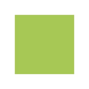 Vallejo 737 Modelcolor 17ML. 210 green fluo