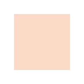 Vallejo Modelcolor 928 17ML. 006 Light Flesh