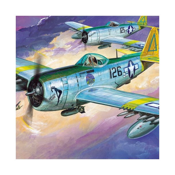 Academy P-47N SPECIAL EXPECTED GOOSE 1/48