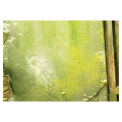 Vallejo Lyst slimet snavs 40 ml. 