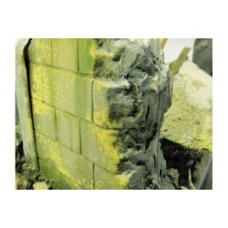 Vallejo Mos og Lav effekt 40 ml. 