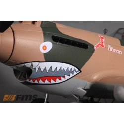 P-40B 1400mm PNP FMS