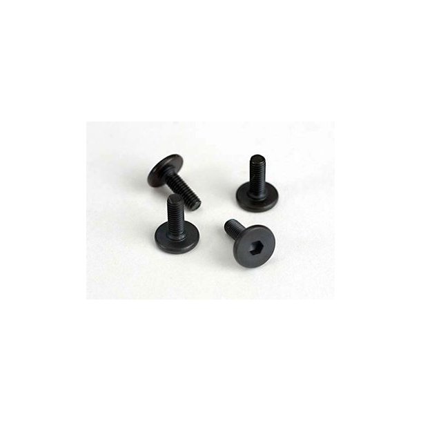 Screws M3X10mm Flat-head Hex Socket (6)