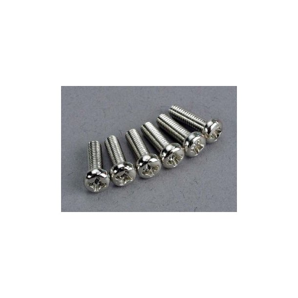 Screws M3x10mm Roundhead (6)*
