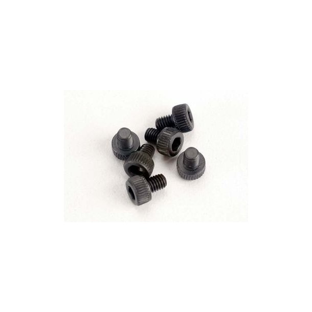 Screws M3x4mm Cap-head Hex Socket (6)