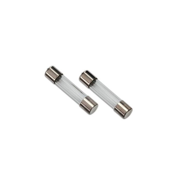 Fuse 5A for 2974, 2975 &amp; 2977 chargers