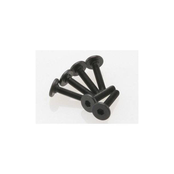 Screws M3x15mm Flat-head Hex Socket (6)