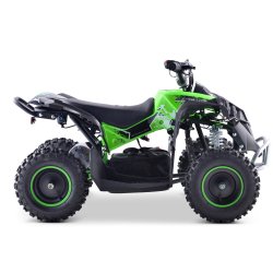 Brne Mini ATV Quad Renegade 1000 Watt 36 Volt 