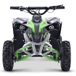 Brne Mini ATV Quad Renegade 1000 Watt 36 Volt 