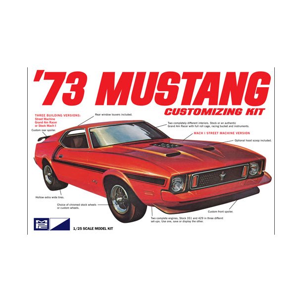 1973 Ford Mustang 1/25
