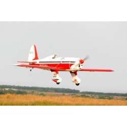 Ryan 120 GP/Gas ARTF V2