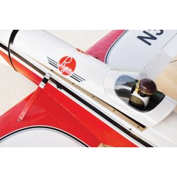 Ryan 120 GP/Gas ARTF V2