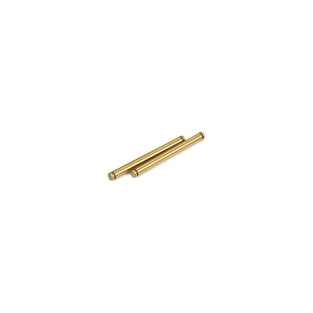 22 Rear Outer Hingepin (2)