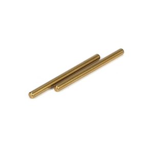 22 Rear Inner Hingepin (2)