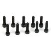 Cap Head Screws M3 x 10mm (10)