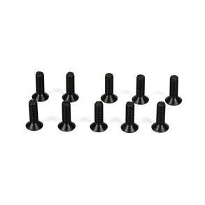 Flathead Screws M3 x 10mm (10)