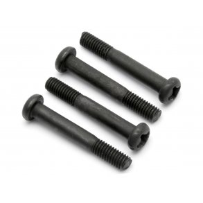 3X20mm Screws Trophy 3.5 HPI