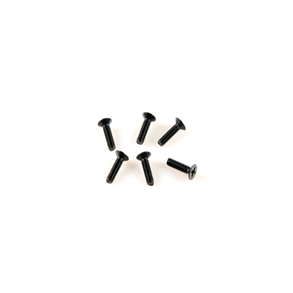 Flat Head Screw M3*10 6P