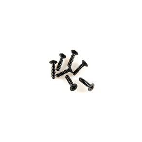 Flat Head Screw 2.5*10 12P