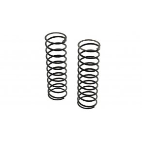 Rear Shock Spring (2): 4x4