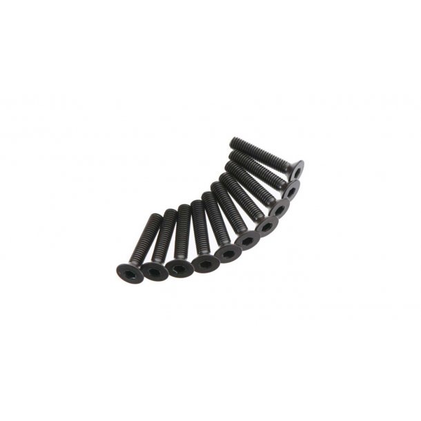 Flat Head Screw 3x16mm (10) (AR722316)