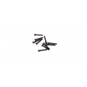M2.5 x 16mm Cap Head Screw (10)