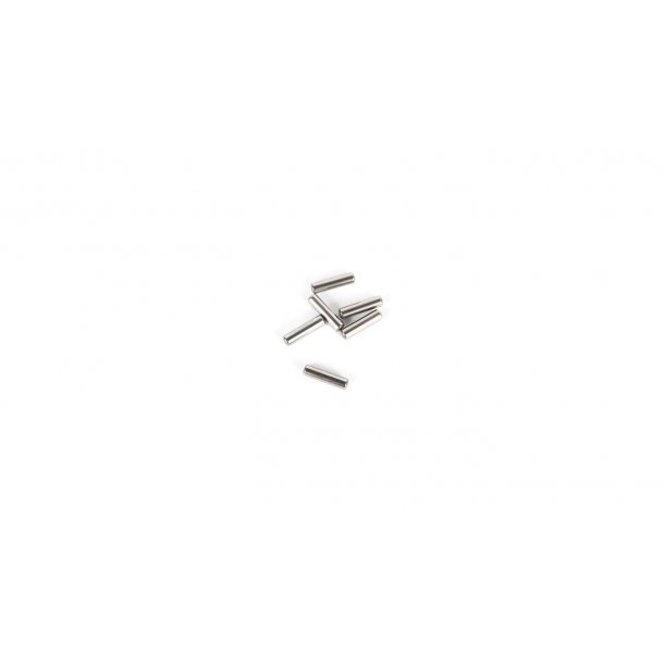 M2.5 x 10mm Pin (6)