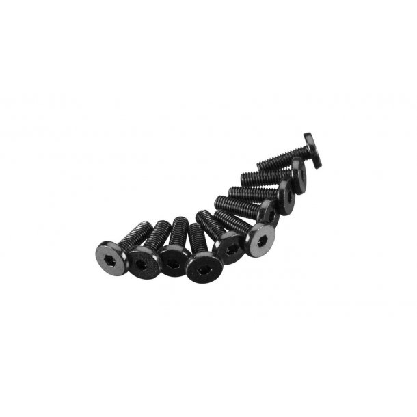 Hex Socket Oversize Head 3x10mm (10)
