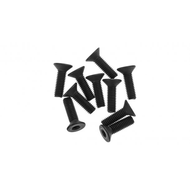 Hex Socket Flat Head 3x10mm (10)