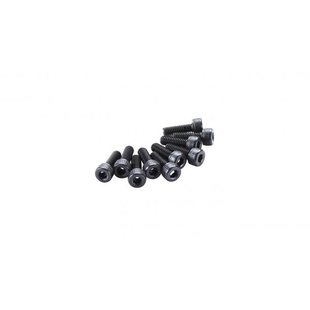 Cap Head Screw 4x12mm (10)