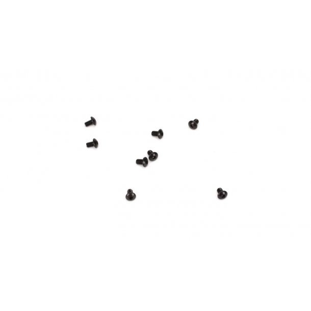 2.5x4mm BH Screw (8)