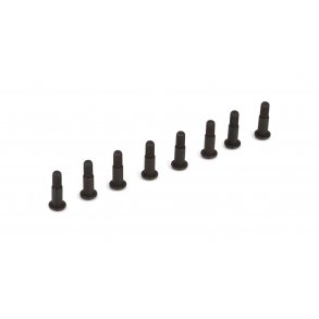 King Pin Screws (8): 22-4