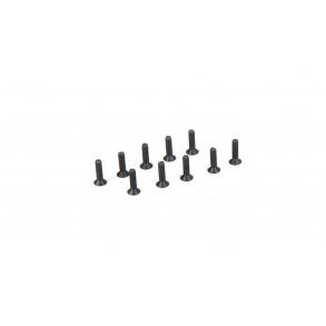 Flat Head Screws M2.5 x 10mm (10)