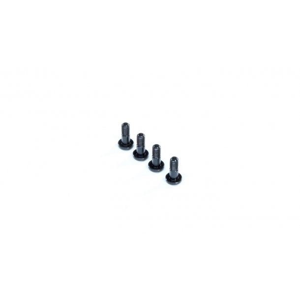 King Pin Bolt (4): 8X, 8XE